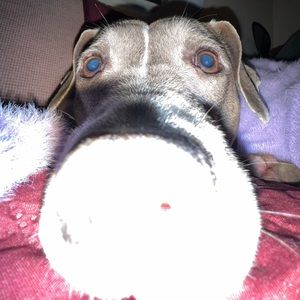 Meet your Posher, Rebecca